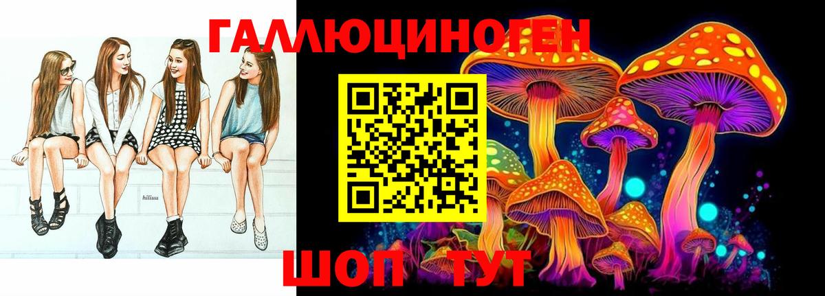 Сегежа  Псилоцибиновые грибы Cubensis  Вход с VPN 